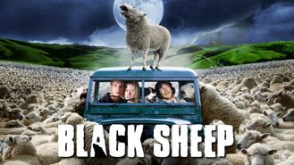 Black Sheep