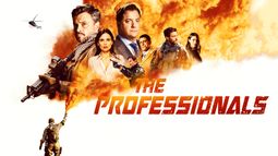 The Professionals - Gefahr ist ihr Geschäft