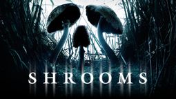 Shrooms_3840x2160_resize